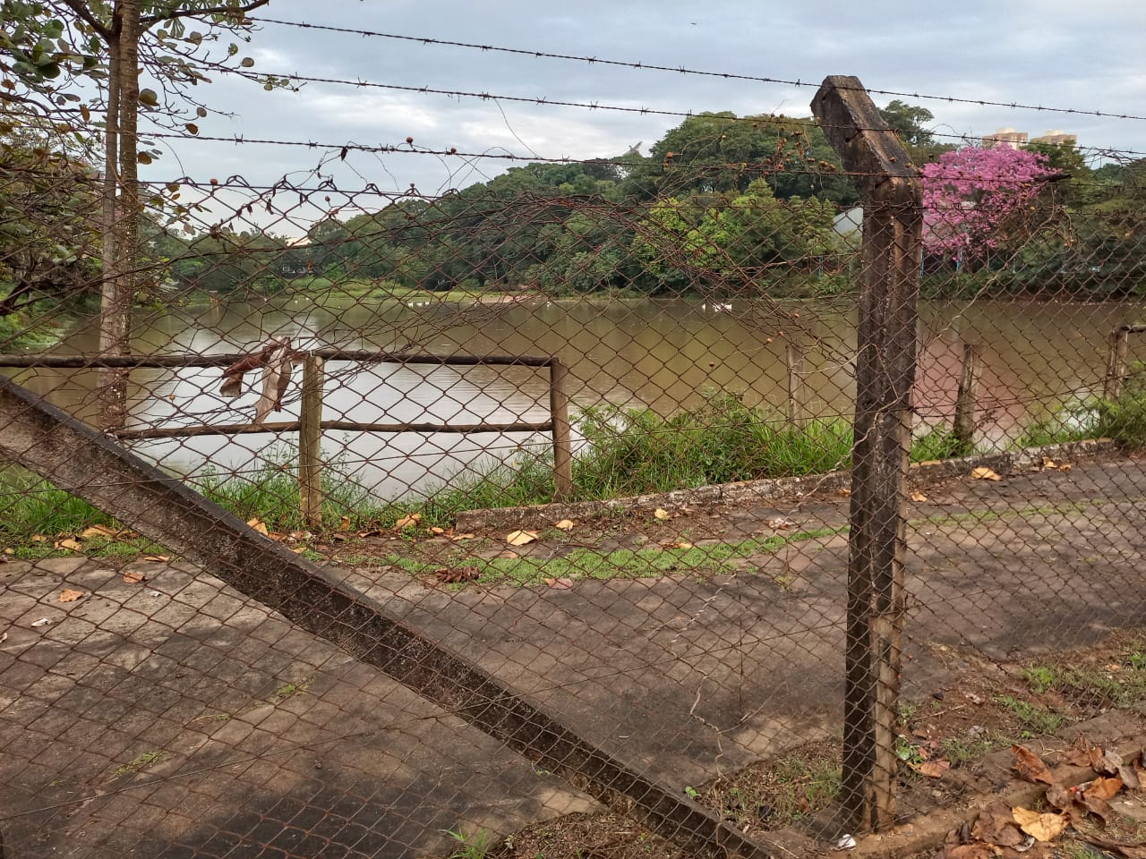 Represa do Parque Isidoro Bordon Zoológico Municipal 