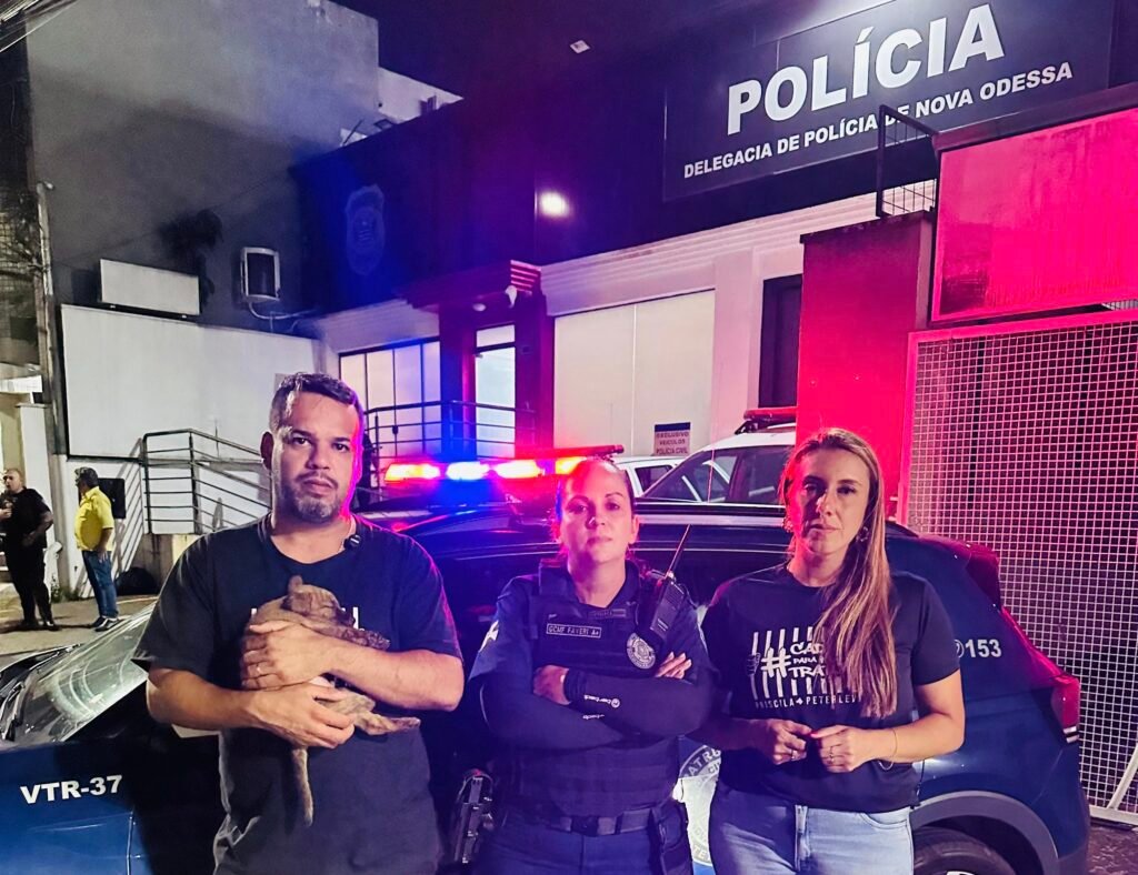 A Guarda Civil Municipal (GCM) de Nova Odessa realizou, na tarde da última terça-feira (27/01), a detenção de um homem acusado de maus-tratos a animal na Avenida Ampélio Gazzetta.
