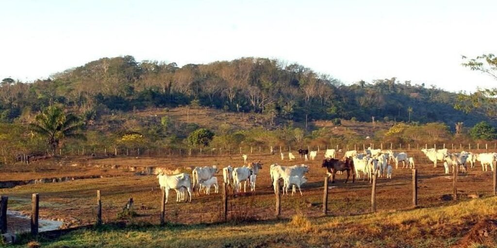 fazenda.jpg