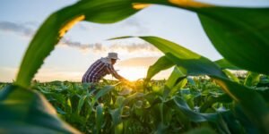 adobestock_621171608.jpeg