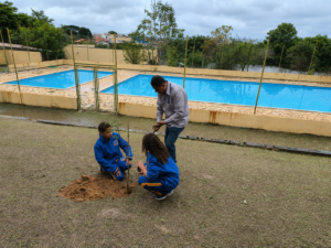 Guardiões_Floresta_01