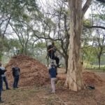 Servidores da Prefeitura de Nova Odessa participam de curso sobre NR35, que regulamenta trabalho em altura