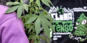 marcha_maconha_sp_07.jpg
