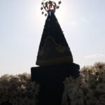 vac_abr_1210221298.jpg
