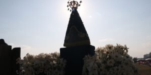 vac_abr_1210221298.jpg